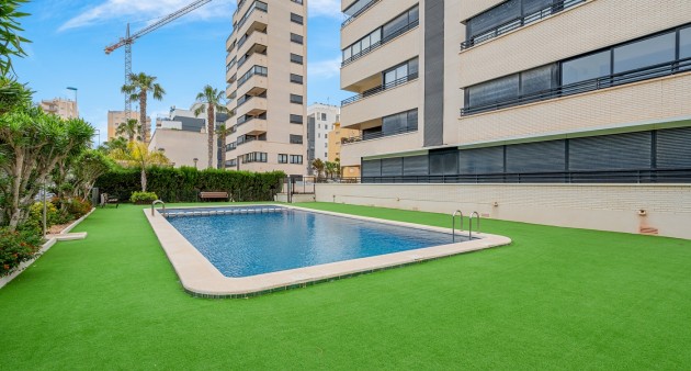 Sale - Apartment - Guardamar del Segura