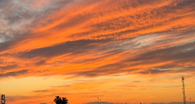 Venta - Piso - Torrevieja