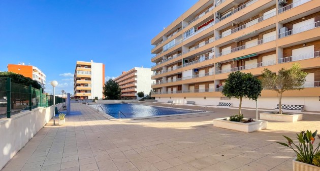 Venta - Piso - Torrevieja