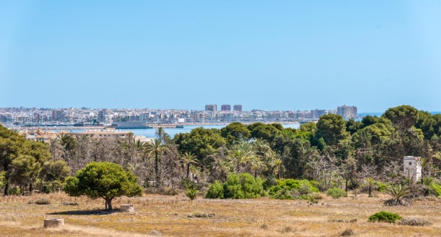 Venta - Piso - Torrevieja