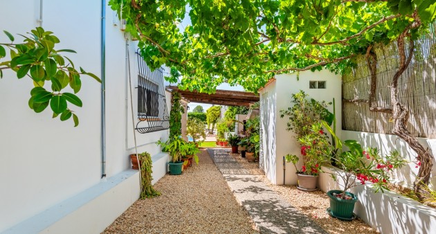 Sale - Country estate - Benijófar