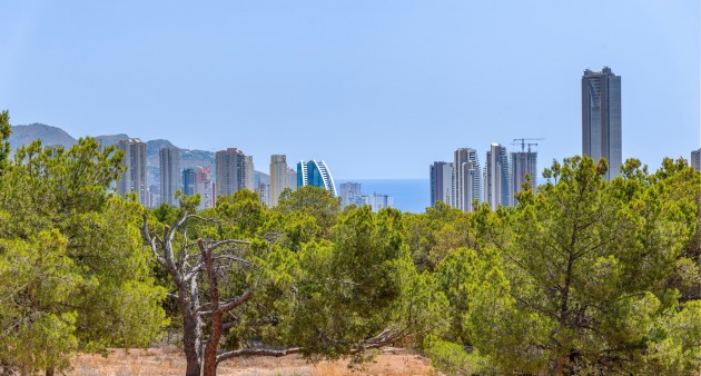 New Build - Villa - Finestrat - Sierra cortina