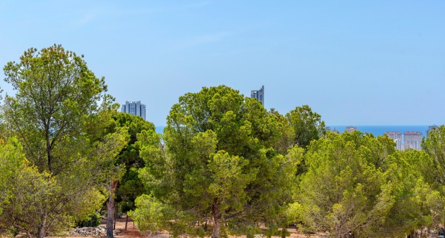 New Build - Villa - Finestrat - Sierra cortina