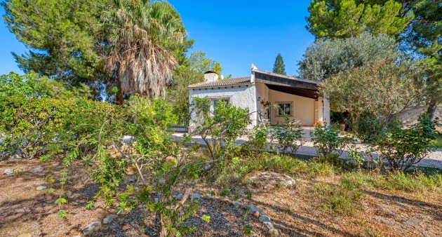 Sale - Villa - Benferri