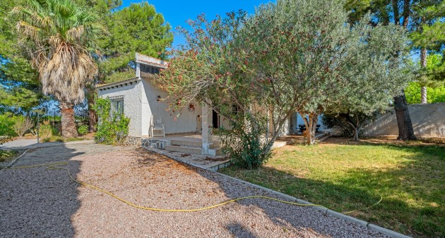 Sale - Villa - Benferri