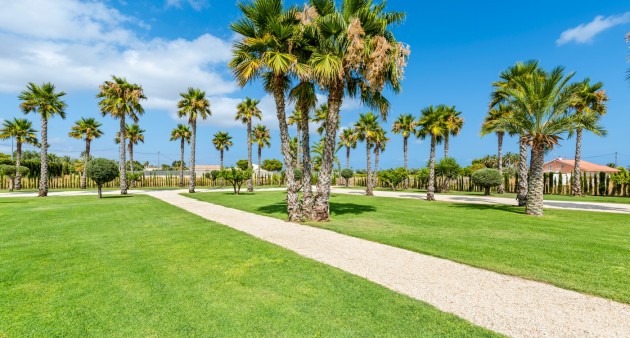 Bruktbolig - Villa - Elche/Elx