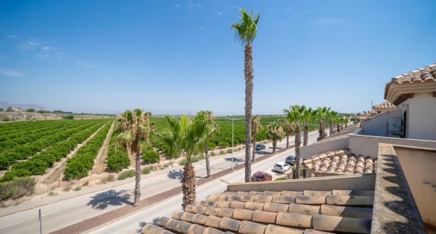 Sale - Bungalow - Algorfa