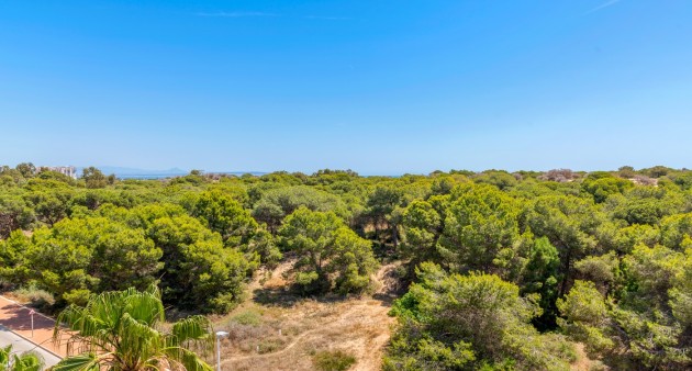 New Build - Apartment - Guardamar del Segura - Puerto Deportivo