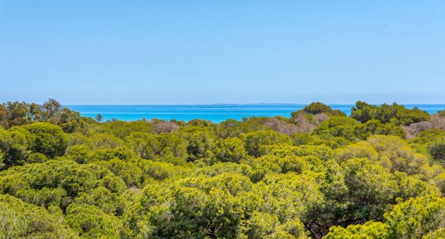 New Build - Apartment - Guardamar del Segura - Puerto Deportivo