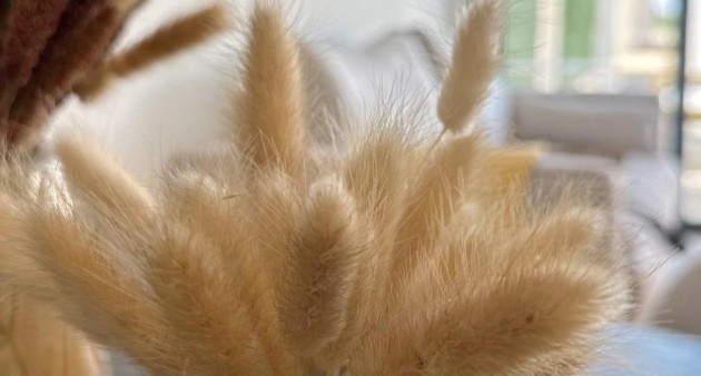 Nowo zbudowane - Bungalow - San Fulgencio - Pueblo