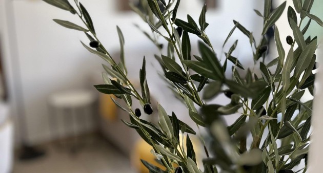 Nowo zbudowane - Bungalow - San Fulgencio - Pueblo