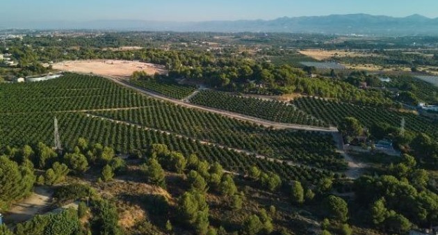 Nouvelle construction - Ground floor apartment - Godella - Campolivar