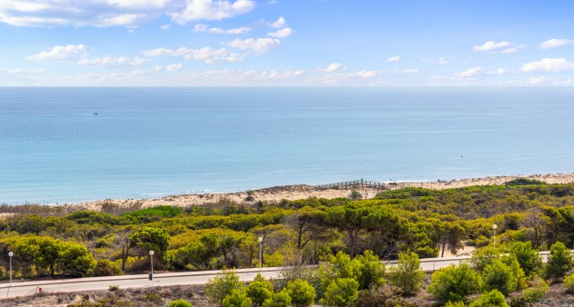 Sale - Ground Floor - Guardamar del Segura