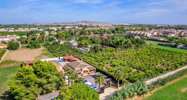 Sale - Country estate - Almoradí - Las Heredades