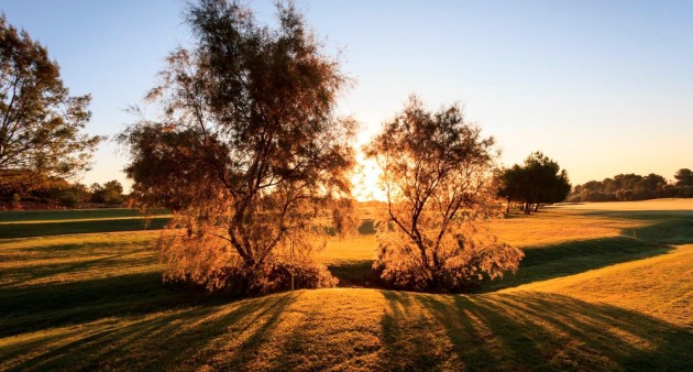 New Build - Villa - Pilar de La Horadada - Lo Romero Golf