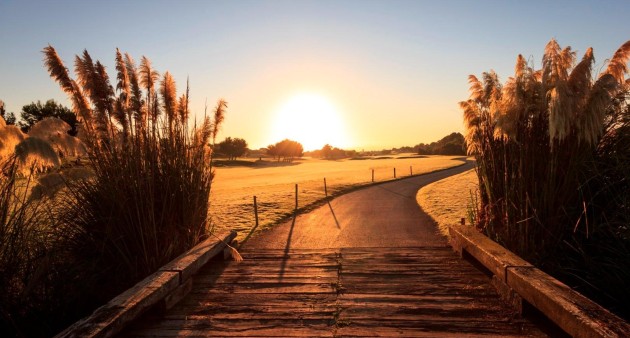 New Build - Villa - Pilar de La Horadada - Lo Romero Golf