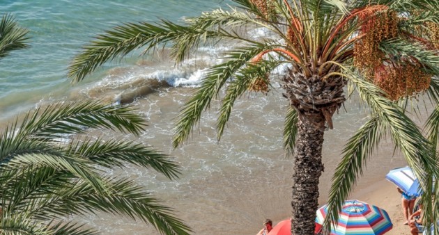 Sale - Apartment - Torrevieja