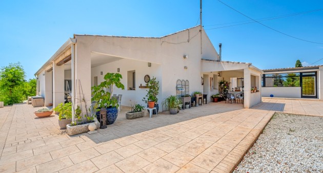 Sale - Country estate - Elche/Elx