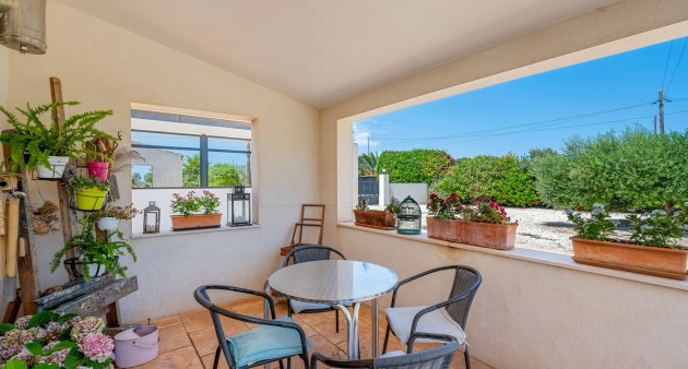 Sale - Country estate - Elche/Elx