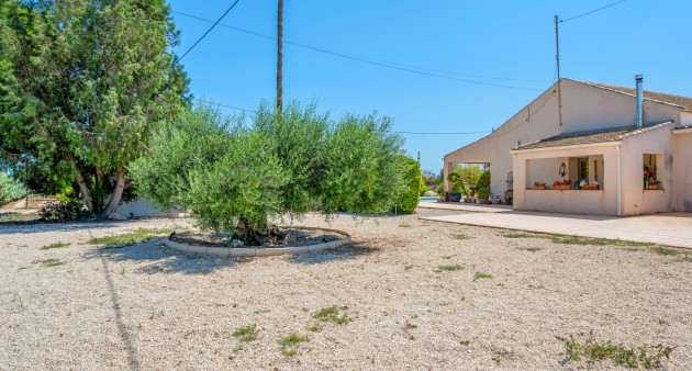 Sale - Country estate - Elche/Elx