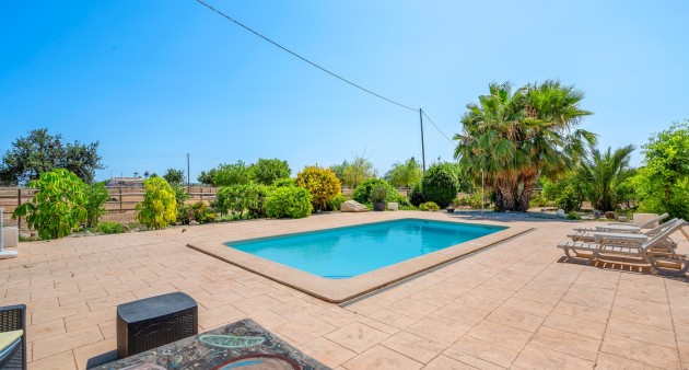 Sale - Country estate - Elche/Elx