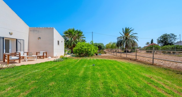 Sale - Country estate - Elche/Elx