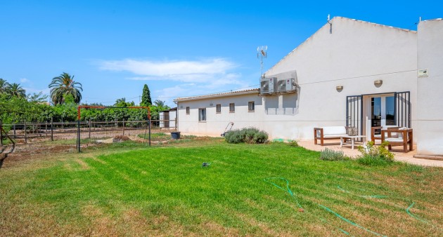 Sale - Country estate - Elche/Elx