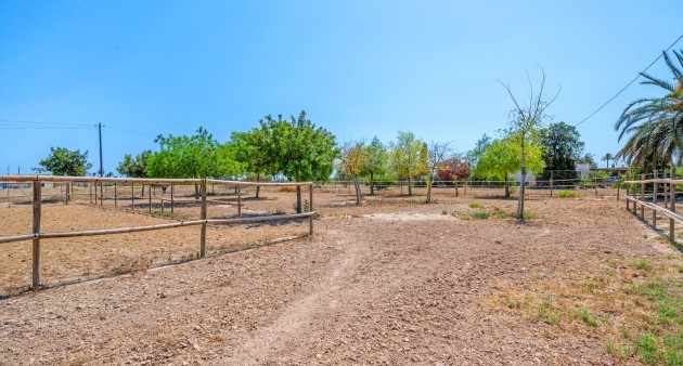 Sale - Country estate - Elche/Elx