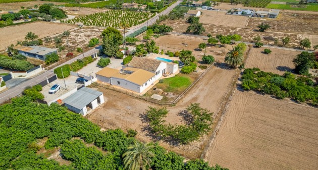 Sale - Country estate - Elche/Elx