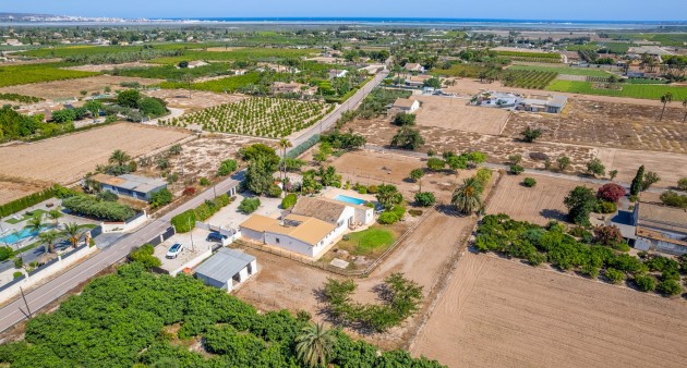 Sale - Country estate - Elche/Elx
