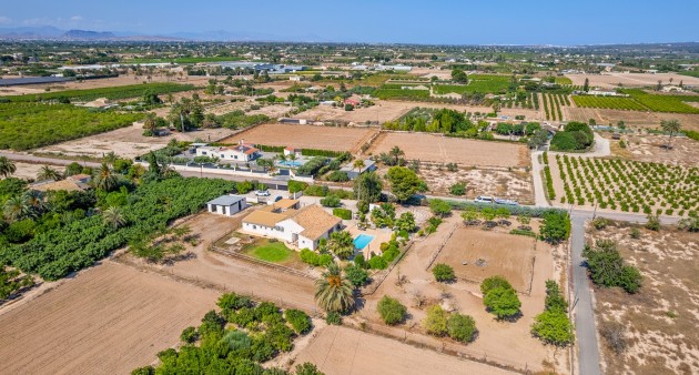 Sale - Country estate - Elche/Elx