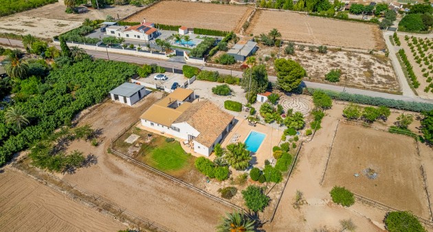 Sale - Country estate - Elche/Elx