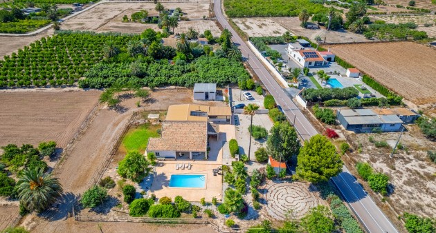 Sale - Country estate - Elche/Elx