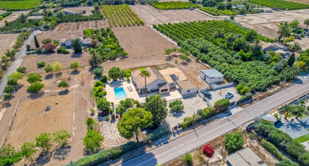 Sale - Country estate - Elche/Elx