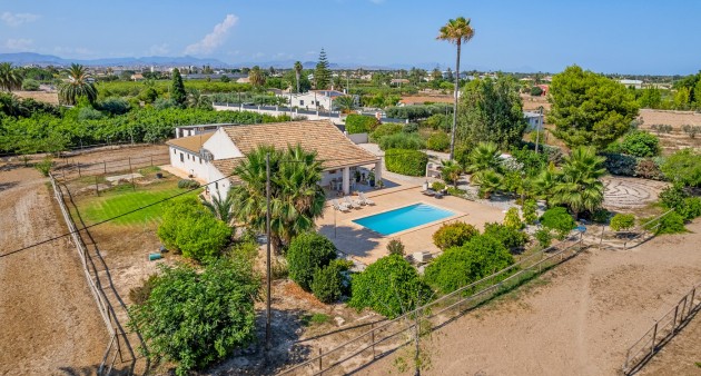 Sale - Country estate - Elche/Elx