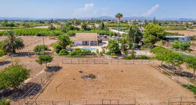Sale - Country estate - Elche/Elx