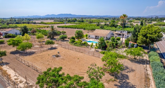 Sale - Country estate - Elche/Elx