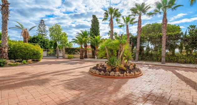 Vente - Villa - Elche/Elx