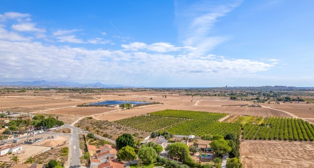 Vente - Villa - Elche/Elx