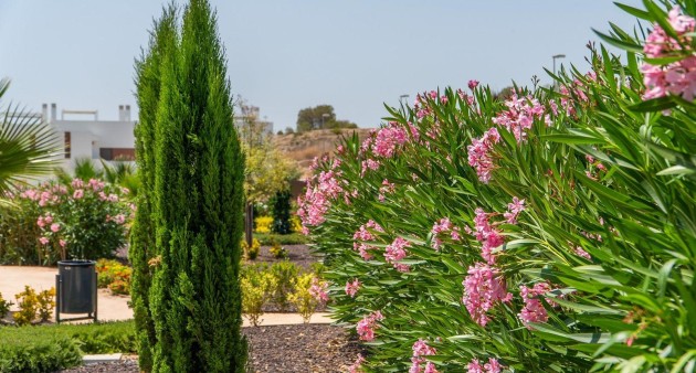 New Build - Top Floor Bungalow - Orihuela - Vistabella Golf