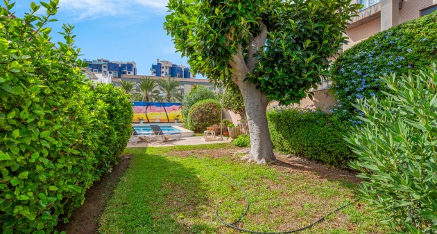 Sale - Semi-detached - Orihuela costa - Punta Prima