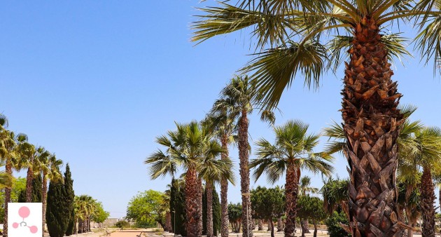 New Build - Villa - San Fulgencio - La Escuera