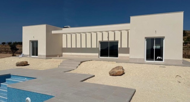 New Build - Villa - Pinoso - Camino Del Prado