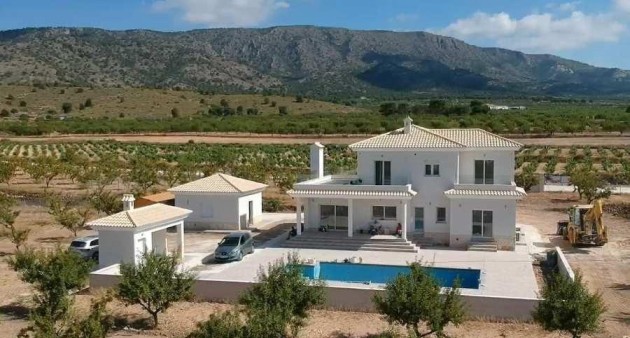 New Build - Villa - Pinoso - Camino Del Prado