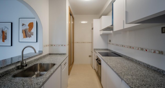 New Build - Penthouse - Cuevas Del Almanzora - Herrerias