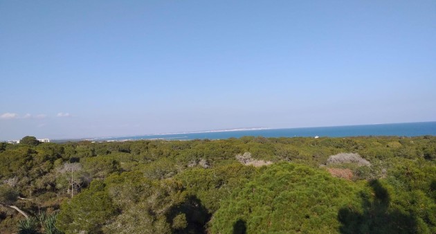 New Build - Ground floor apartment - Guardamar del Segura - Pueblo