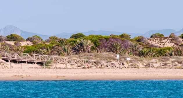 Nueva construcción  - Piso - Guardamar del Segura - Pueblo