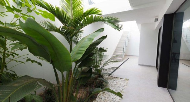 Novostavba - Villa - Finestrat - Campana garden