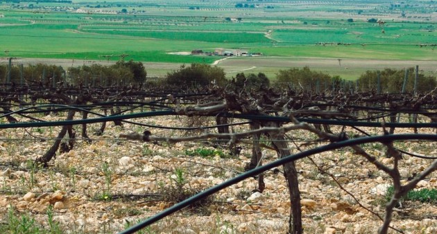 Nieuwbouw - Villa - Yecla