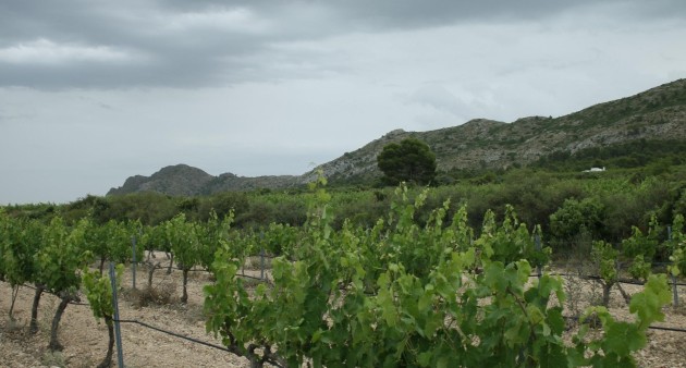 Novostavba - Villa - Yecla